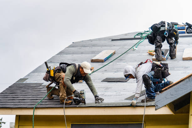 Professional Gutter Installation technician working in De Leon Springs, FL